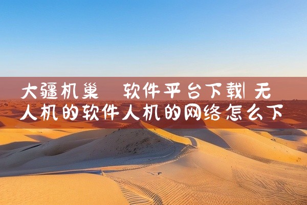 大疆机巢 软件平台下载