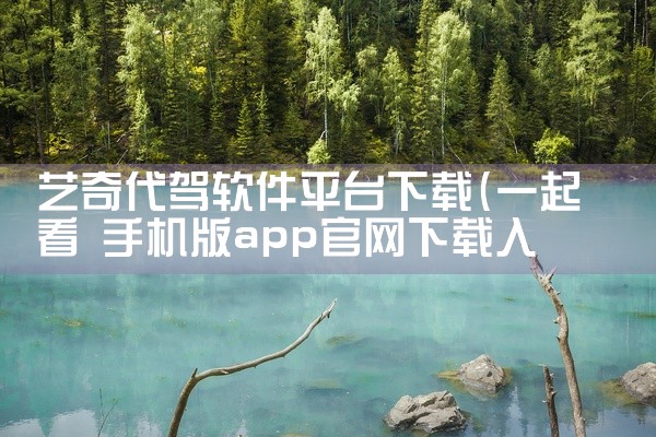 艺奇代驾软件平台下载