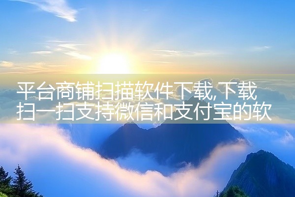 平台商铺扫描软件下载