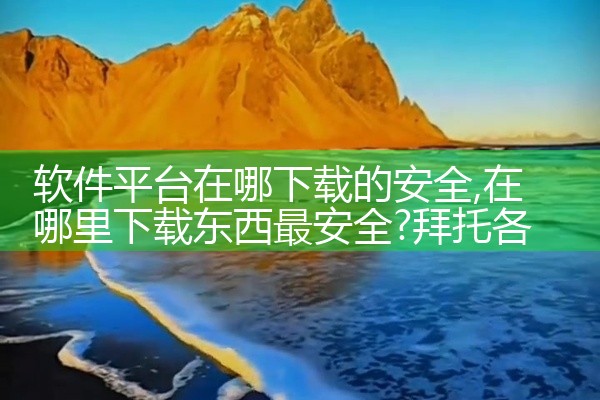 软件平台在哪下载的安全