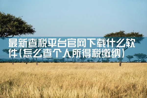 最新查税平台官网下载什么软件