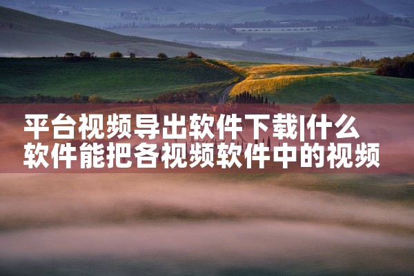 平台视频导出软件下载