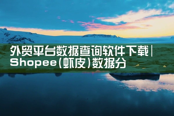 外贸平台数据查询软件下载