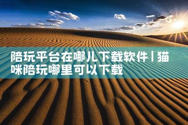 陪玩平台在哪儿下载软件