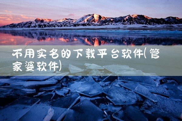 不用实名的下载平台软件