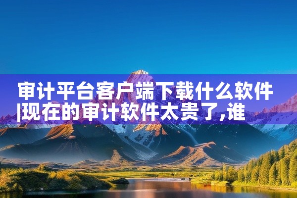 审计平台客户端下载什么软件